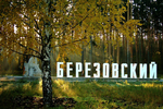 Small_berezovskii