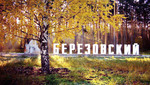 Small_berezovskij